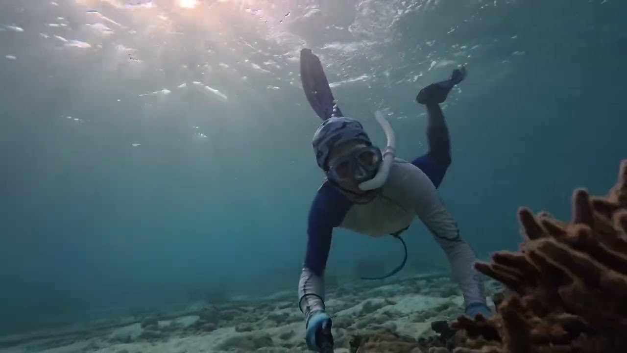 11-9-2025 沖繩瀬底島浮潛