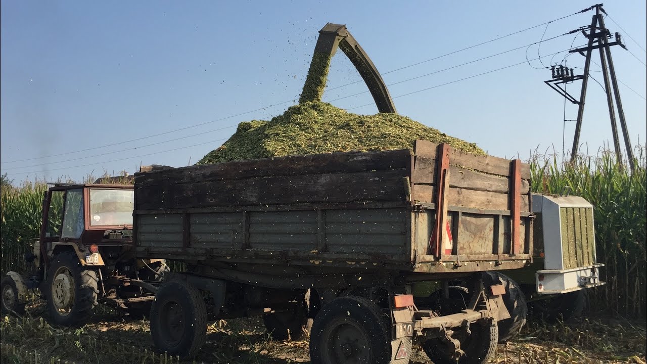 ☆Jesień 2016☆Koszenie kukurydzy na Pryzmę Drugi dzień cz.2(Zetor 2x, Fendt, Ursus, Strautmann )㋡