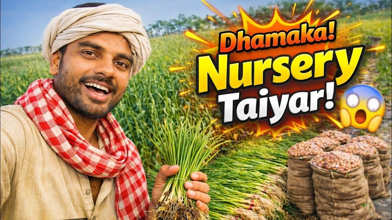 25 Din Ki Mehnat Safal 🤩 | Finally Pyaj Ki Nursery Taiyar Ho Gayi