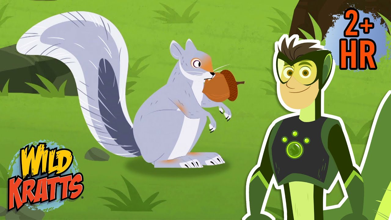 Squirrel Appreciation Day (Jan 21) | Amazing Squirrel Rescue! | Wild Kratts