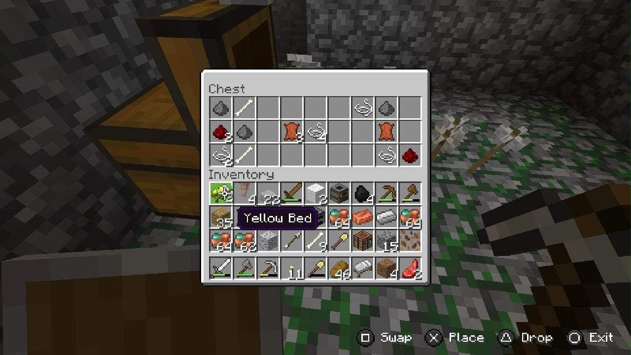 Minecraft survival