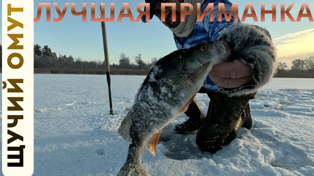 БЕШЕННЫЙ КЛЕВ ОКУНЯ В ГЛУХОЗИМЬЕ