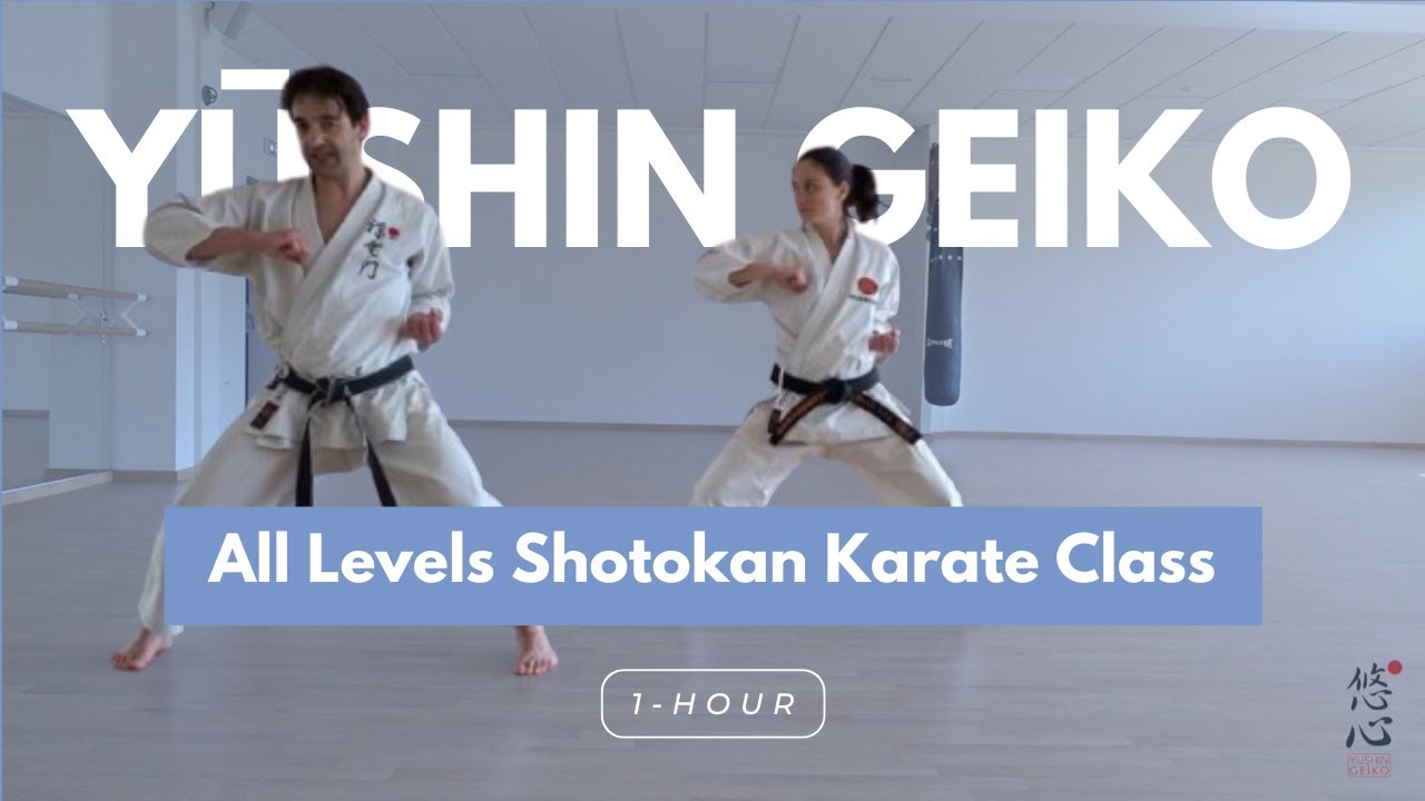 1 hour Shotokan Karate Class for All Levels | Kihon, Kumite & Heian Nidan Kata