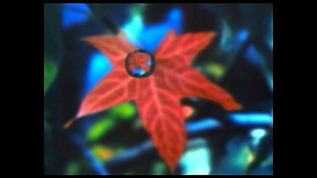 Lightning Seeds  -  Pure HD