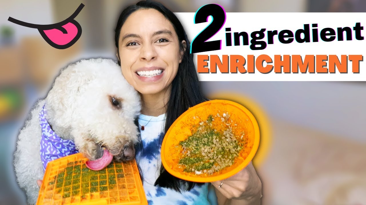 HEALTHY Lickmat Recipes 👉 For Anxious, HYPER or Bored Dogs!