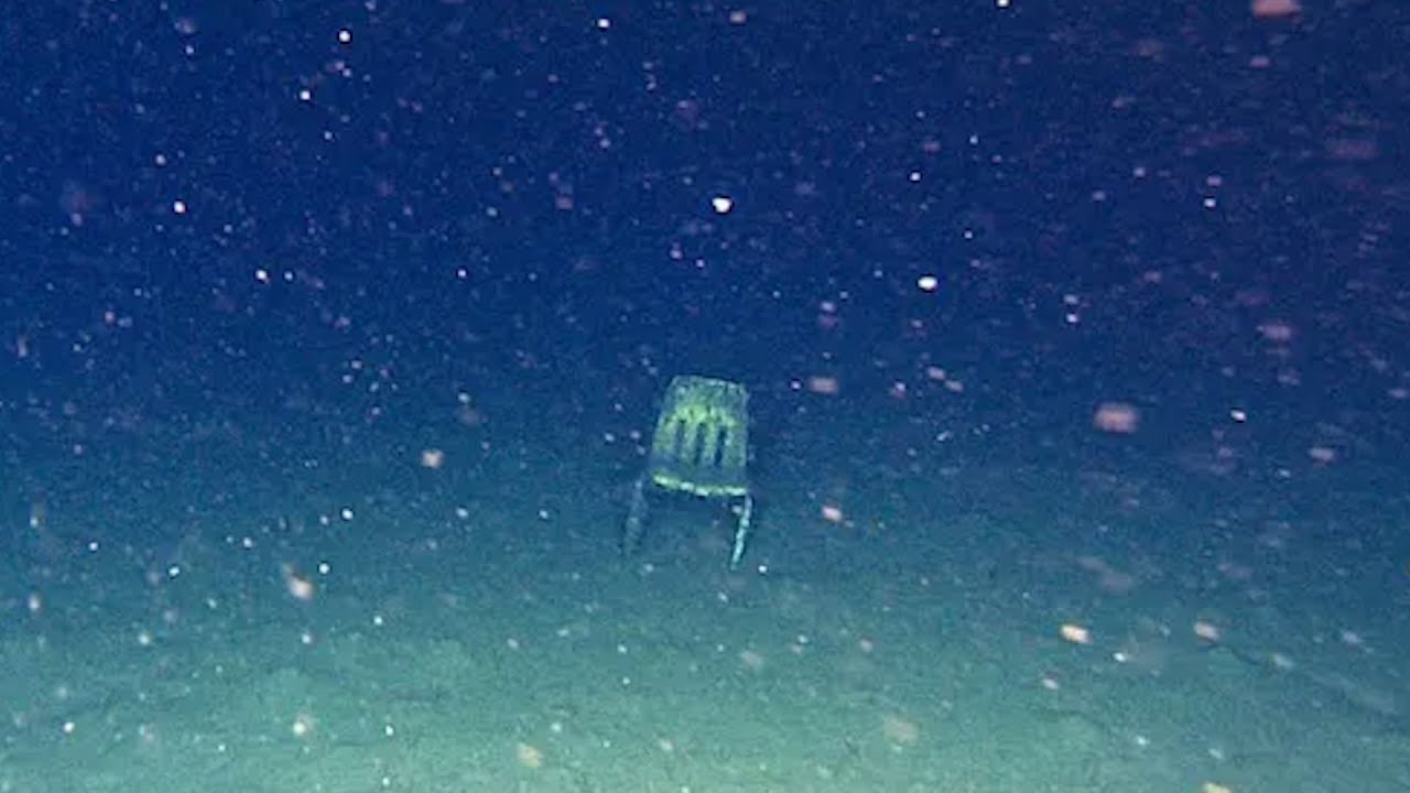 alone at the bottom of the ocean | Underwater Music Compilation to Chill To [DSO OST]