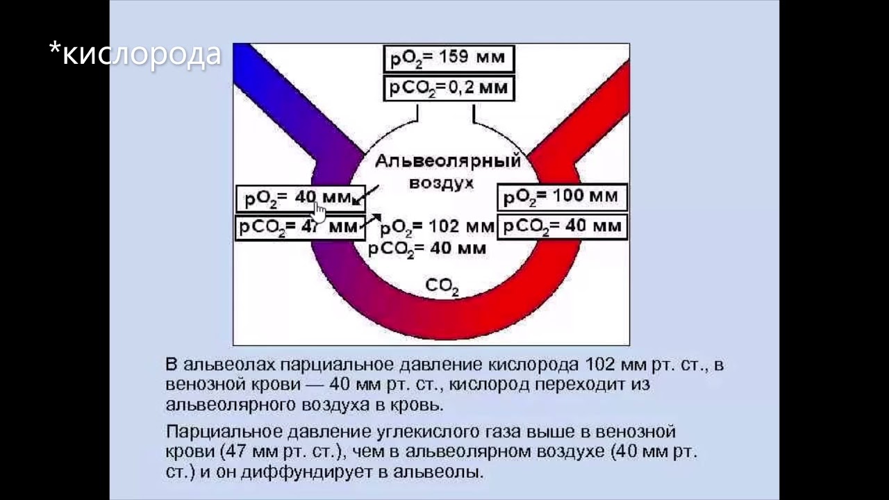 Парциальное давление - что это такое?