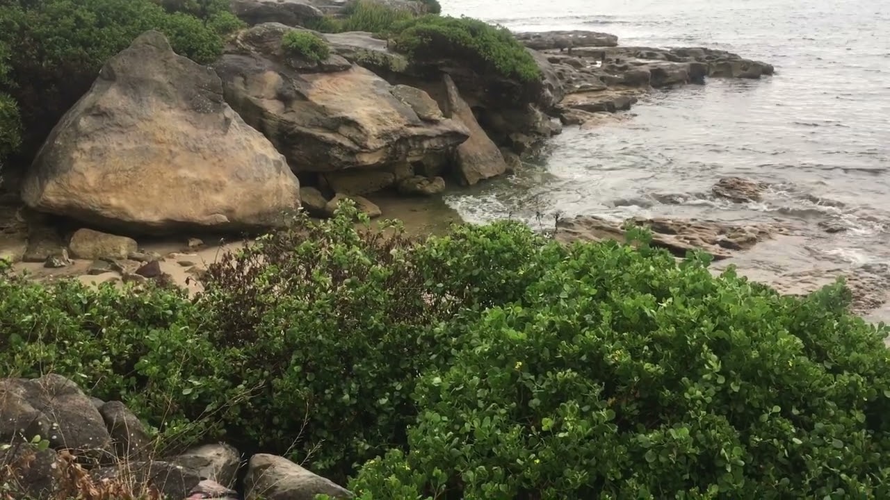 Nature Pause!🌏Breathe deeply, watch the waves, listen to the sound of the ocean, relax!🌊🎼🧘&zwj;♀️❤️