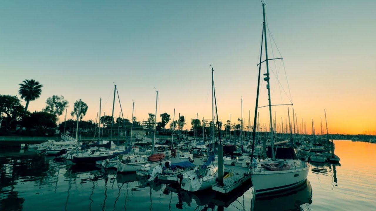 January 29, 2026: My evening walk by in gratitude…