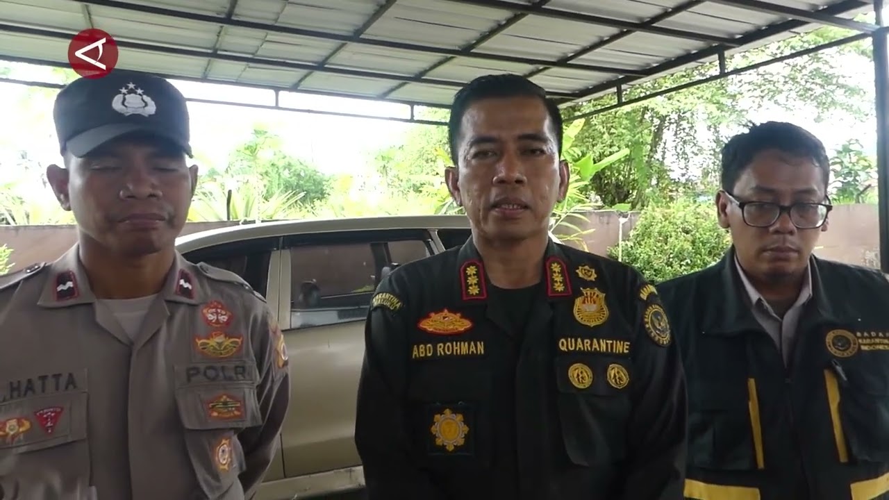 42 Kilogram Daging Babi dan Anjing Ilegal Dimusnahkan di Maluku
