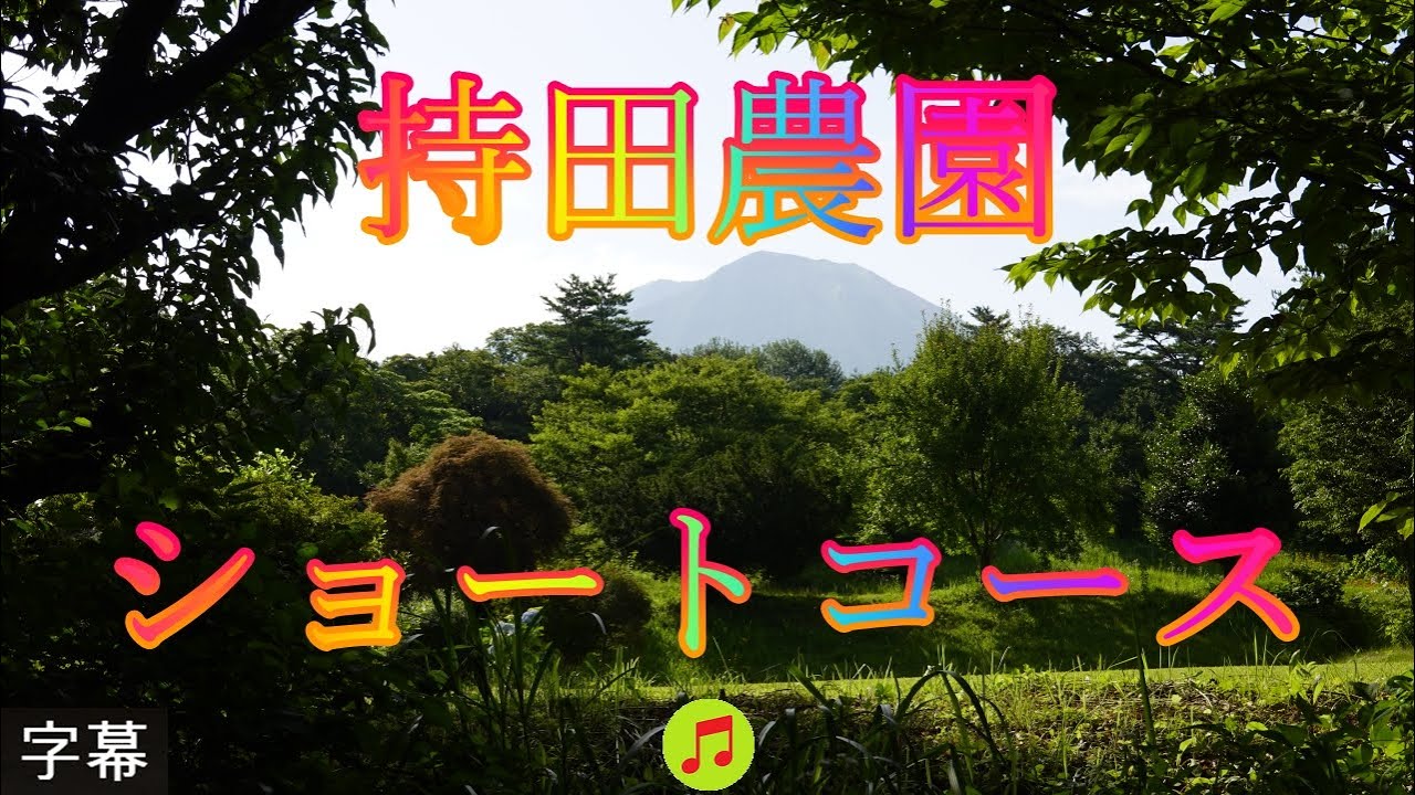 アジサイの咲く頃 7月6日 木曜 晴れ時々曇り 梅雨 爽やかな日 持田農園ショートコース 日本 鳥取県西伯郡大山町赤松字上槙原 大山槇原駐車場 @WalkingYoshi