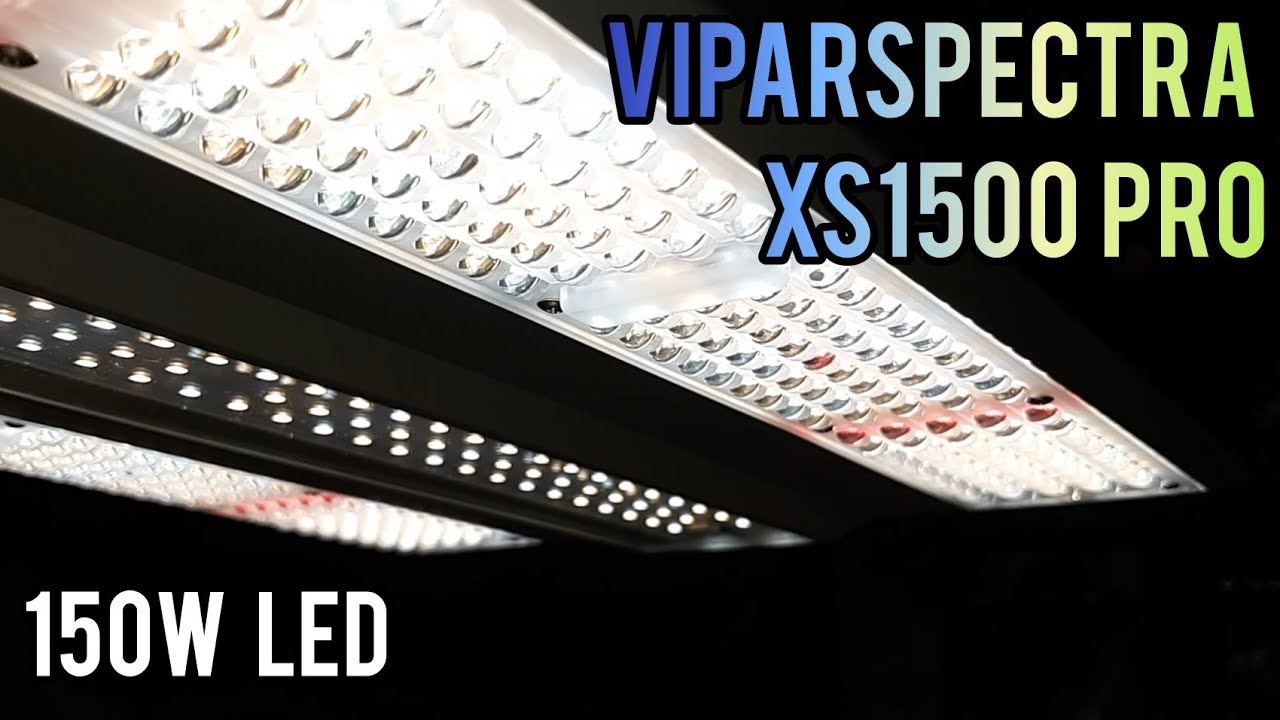 Viparspectra XS1500 PRO LED GROW LIGHT 150W REVIEW+NEXT AUTOFLOWER GROW INFO
