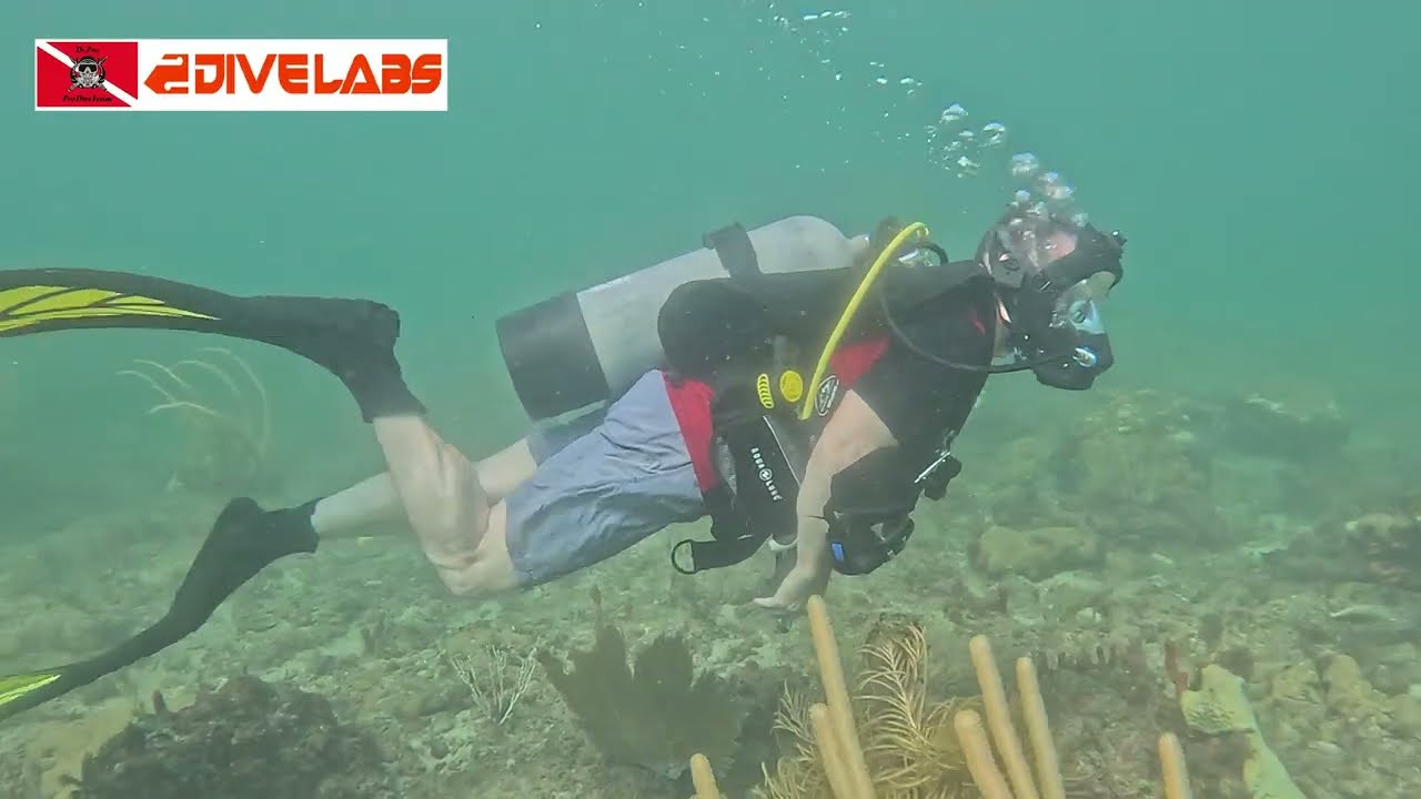 28. Aug 2025. StarWars Dive, Day 1, Pompano Beach, Florida