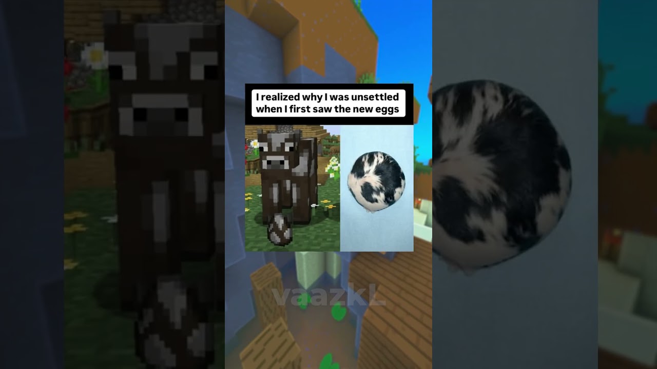 Minecraft Memes