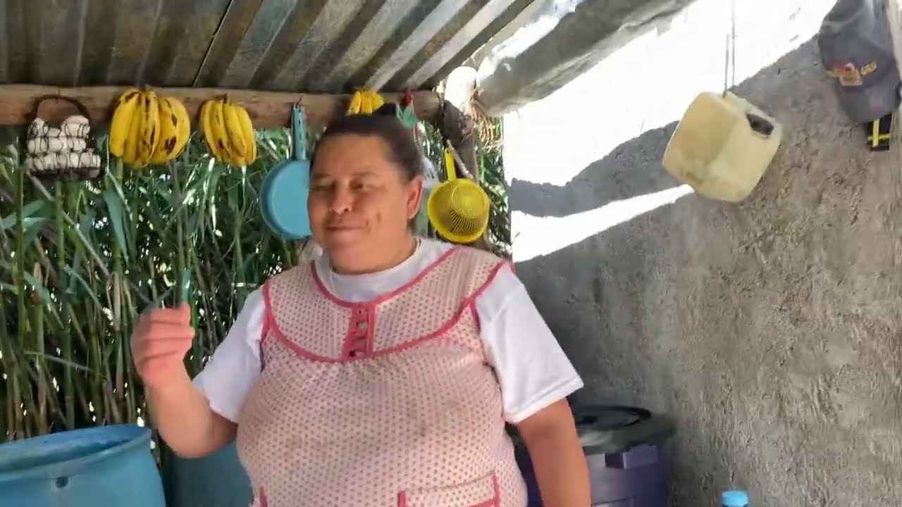 Calando otra planta medicinal El palo azul 