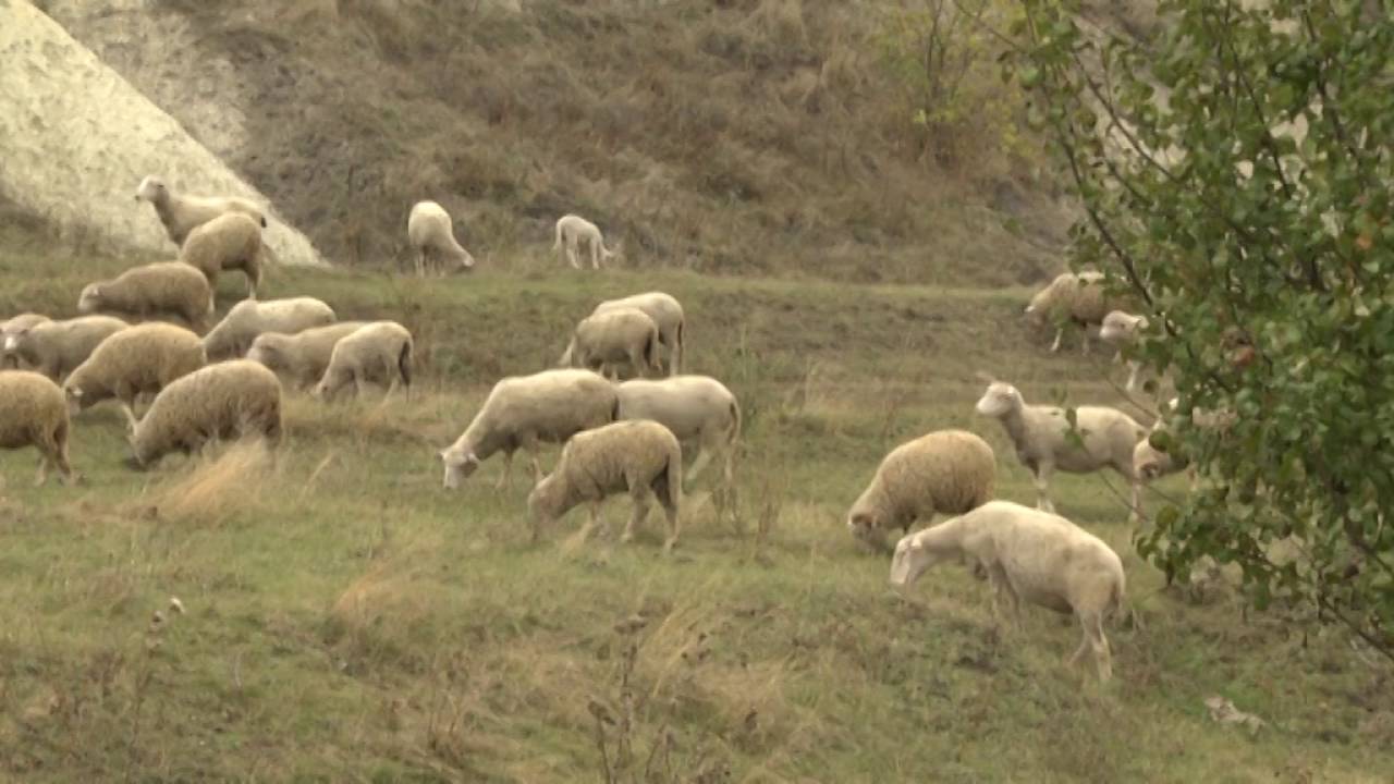 Луганський регіональний форум. 