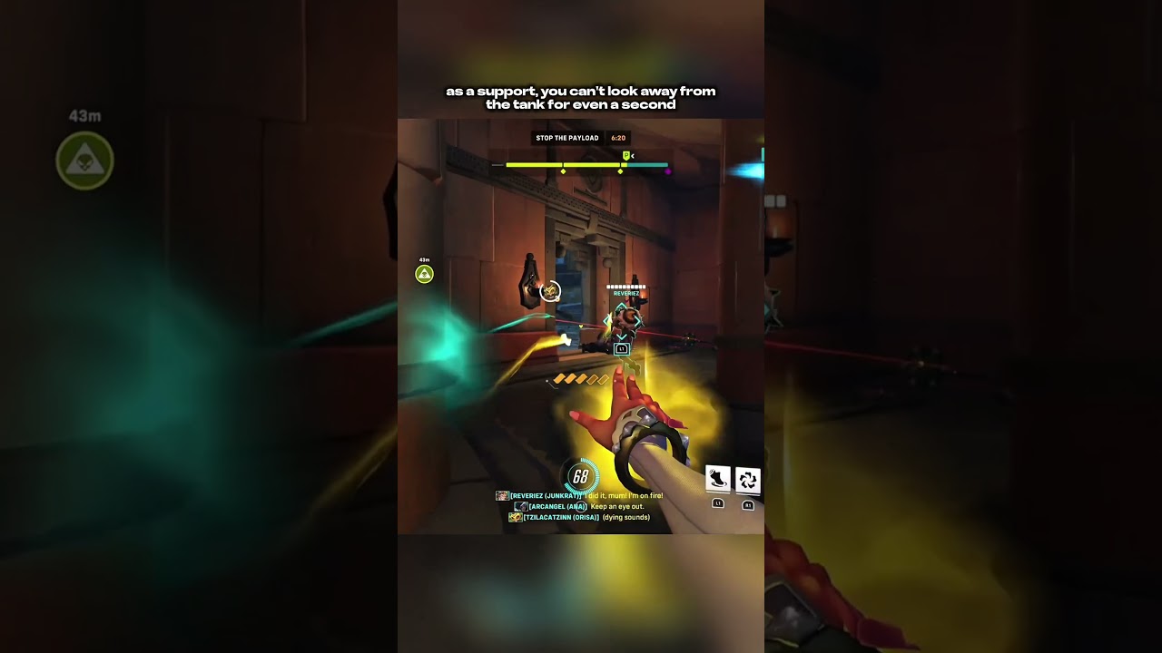 This is what happens when you look away from your tank | 