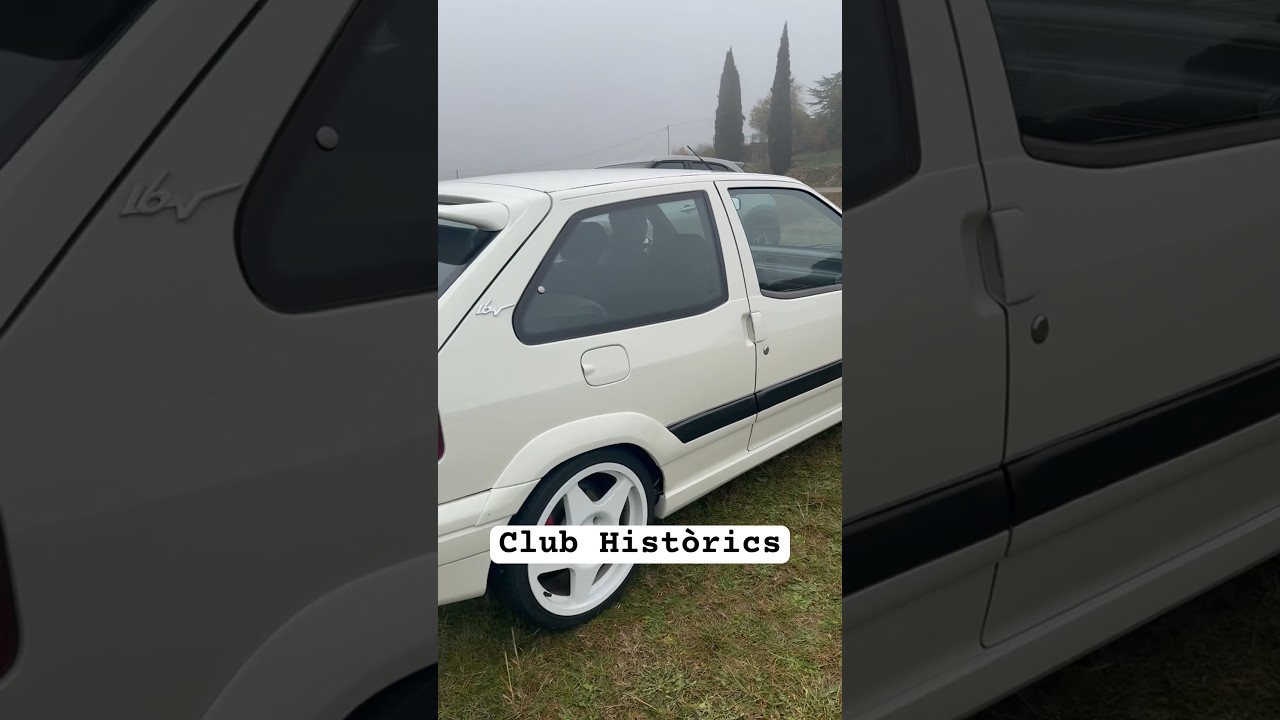 Citro&euml;n ZX 2.0i 16v #automobile #citroenzx #autosclasicos