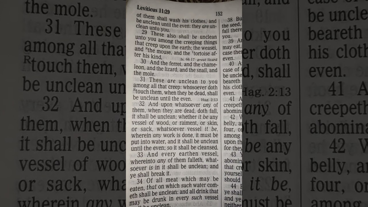 READING THE BOOK OF LEVITICUS CHAPTER 11