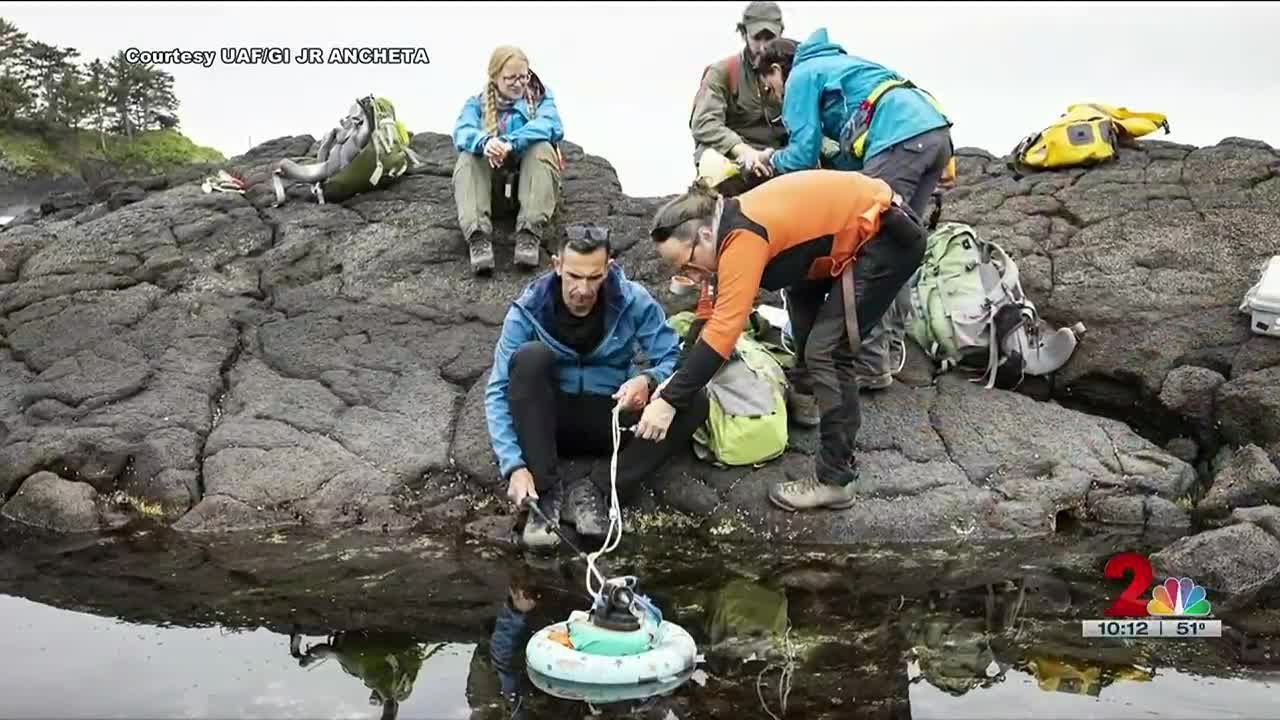 Researchers looking at CO2 on Mount Edgecumb