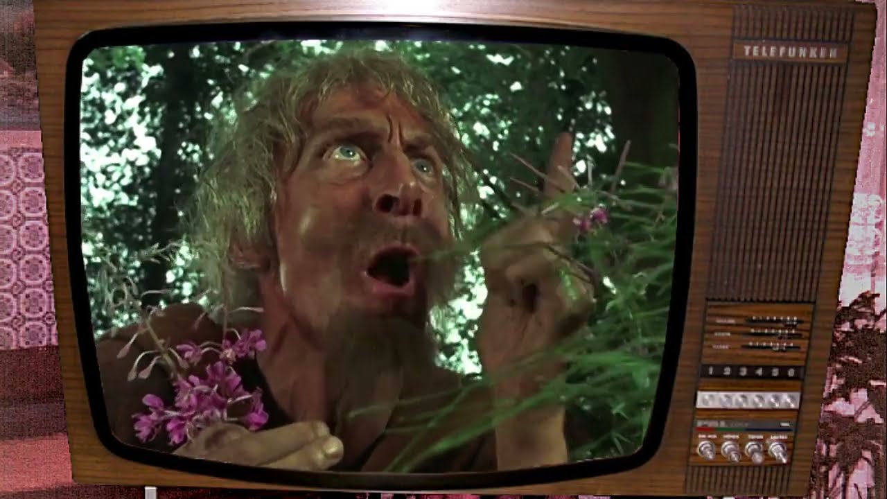 Das war Kinderprogramm 1974 : Catweazle