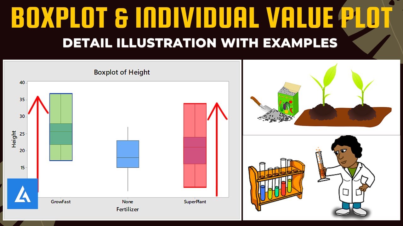 Boxplot and Individual Value Plot (Dot Plot): Detailed illustration with Practical Example