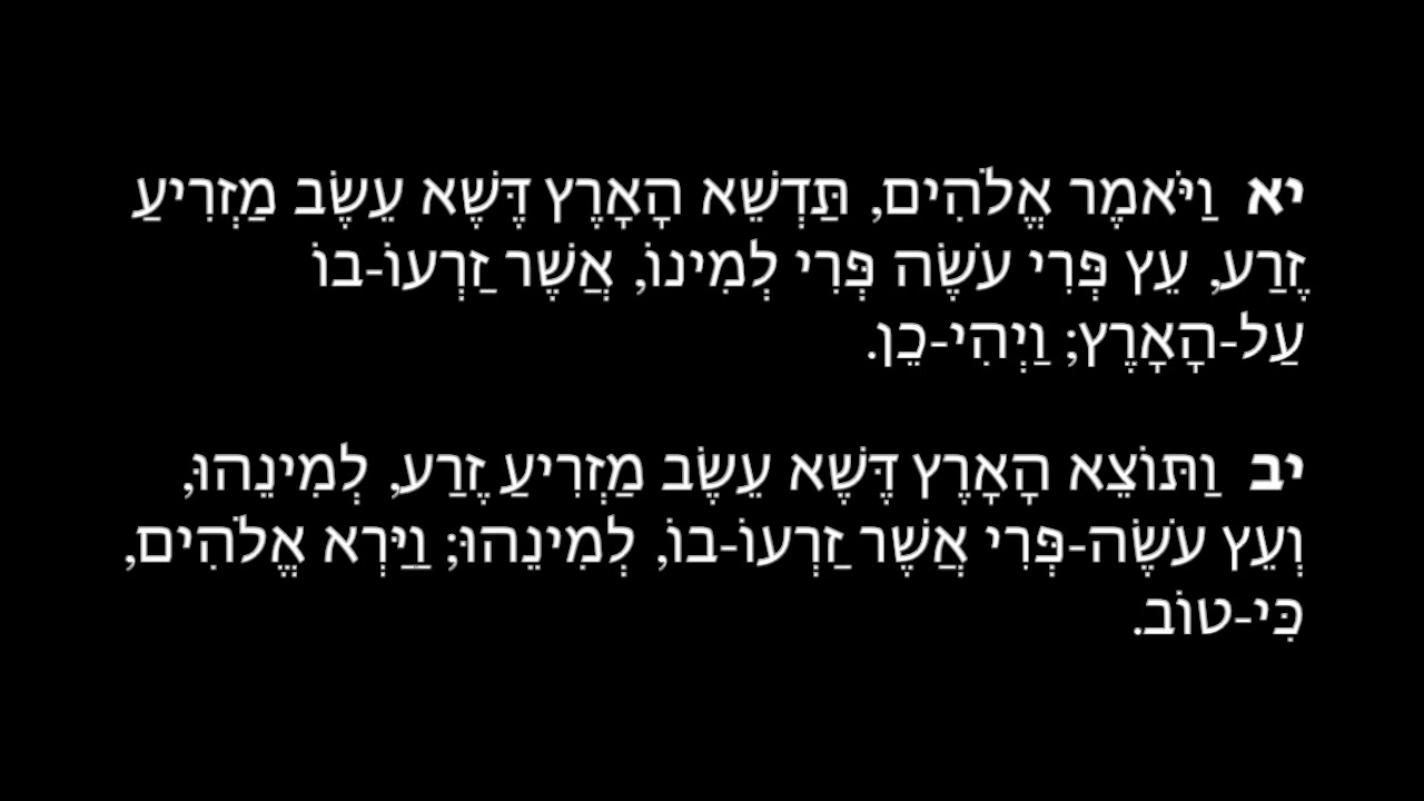 Audio Hexapla: Genesis I (Hebrew)