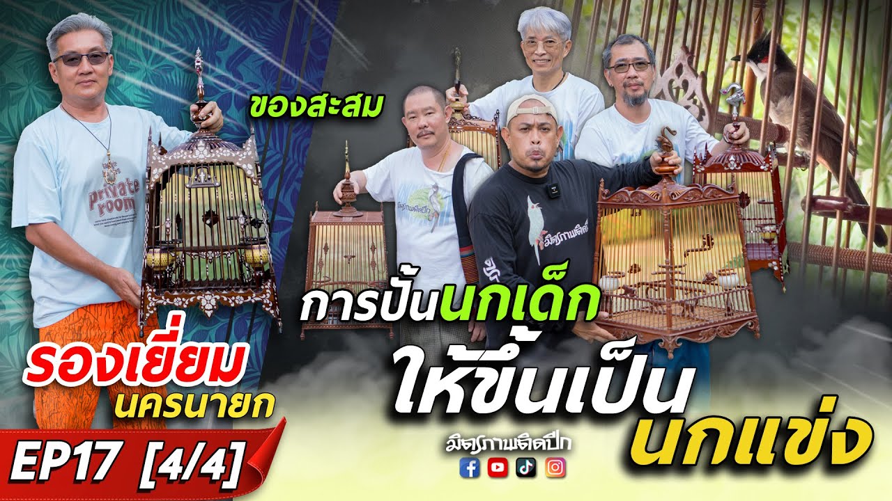 ชายผู้เลี้ยงนกด้วยความรัก และทุ่มเท l ผลักดัน,กำหนดกติกา นกกรงหัวจุกแฟนซี l เยี่ยม นครนายก EP17[4/4]