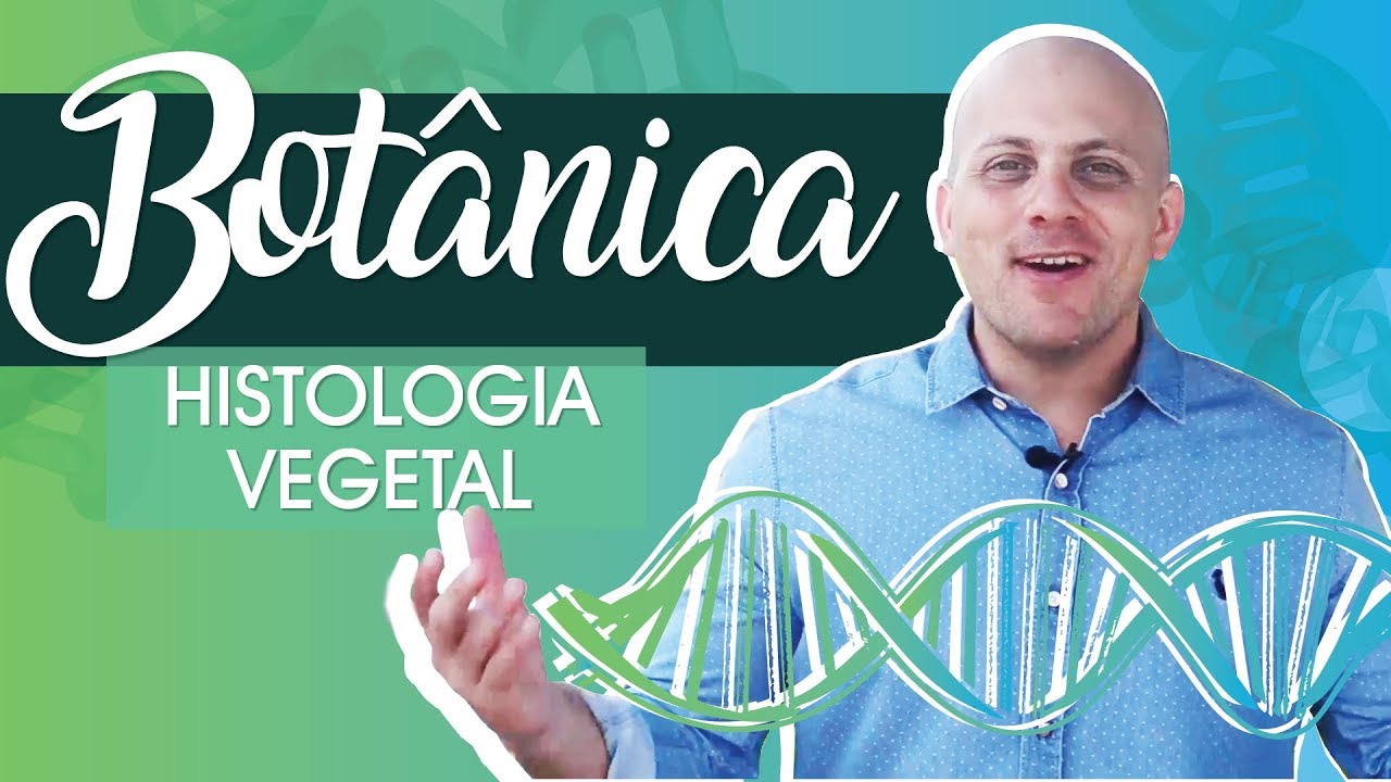 Botânica | HISTOLOGIA VEGETAL | AULA SOBRE OS PRINCIPAIS TECIDOS VEGETAIS E SUAS RESPECTIVAS FUNÇÕES