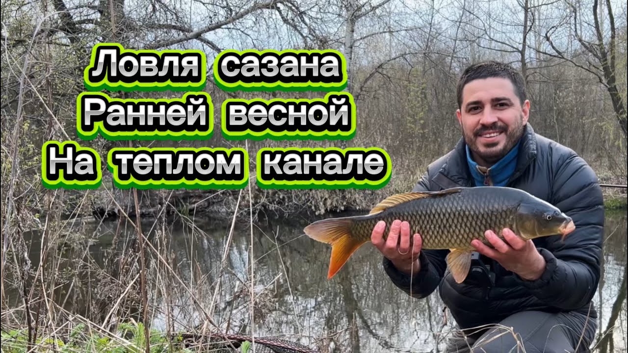 Ловля сазана, ранней весной, на канале к речке Северский Донец