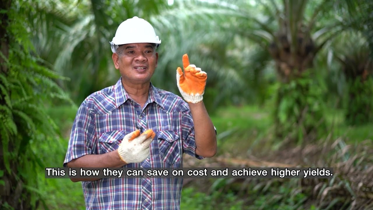 Surat Thani as the national model city for sustainable palm oil in Thailand