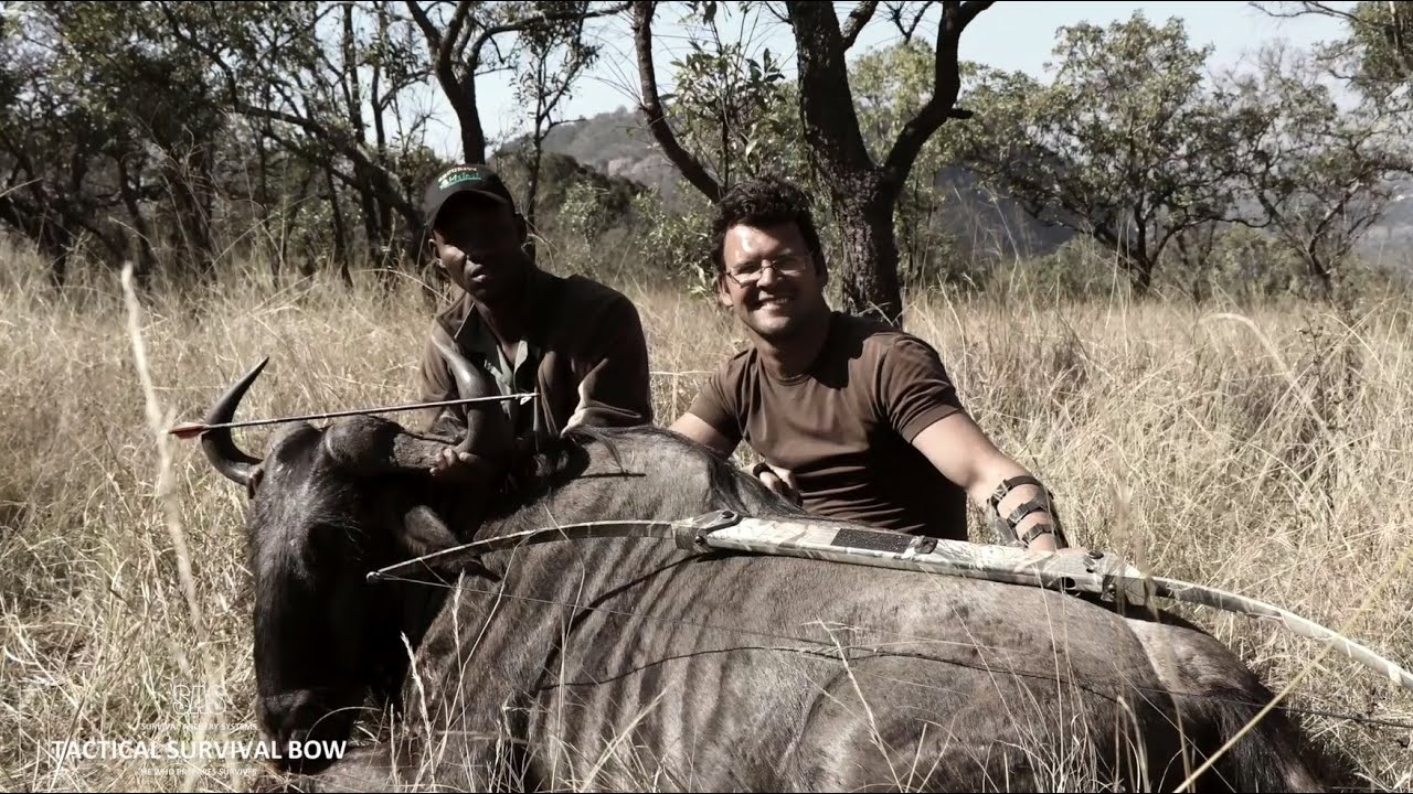 Survival Bow Hunt - Wildebeest Bull with a 55# SAS Tactical Survival Bow