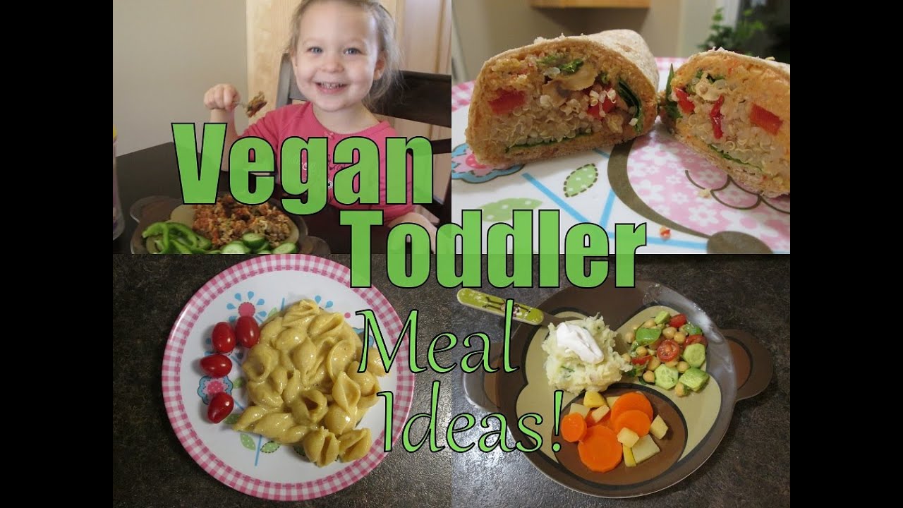 VEGAN TODDLER MEAL IDEAS!