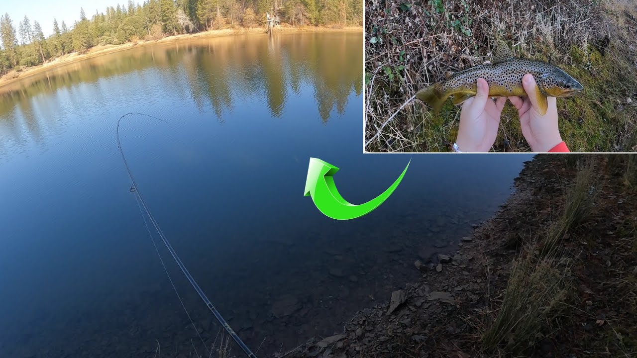 I Finally Caught This Rare 🐟 Fish In This Lake