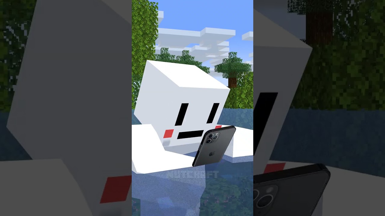 Flash Flood?! (Minecraft Animation Meme)