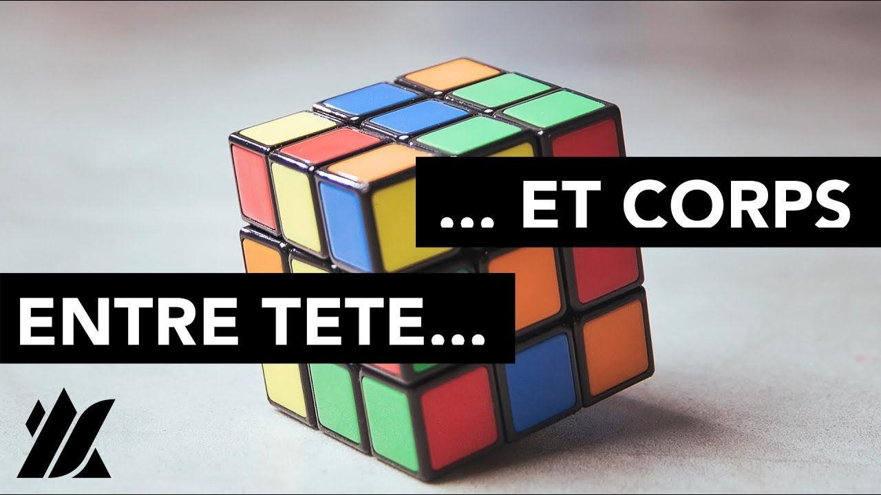 Préférences Cognitives