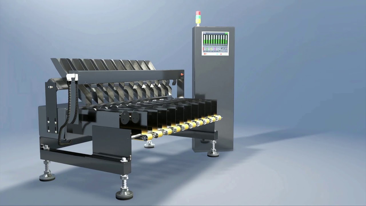 Ensure Quality: FASTech Multi-Lane Stick Pack Checkweighers in Action