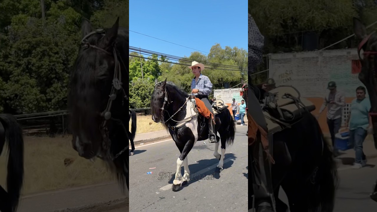 Desfile Expo feria del Gallo de Cutzamala Guerrero 2025 parte 5
