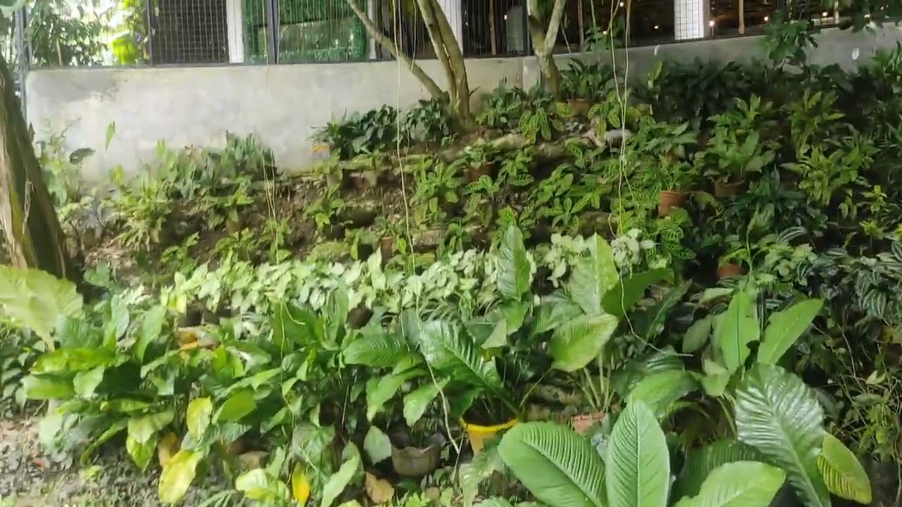 Happy Bee Farm (Mindanao scaped)