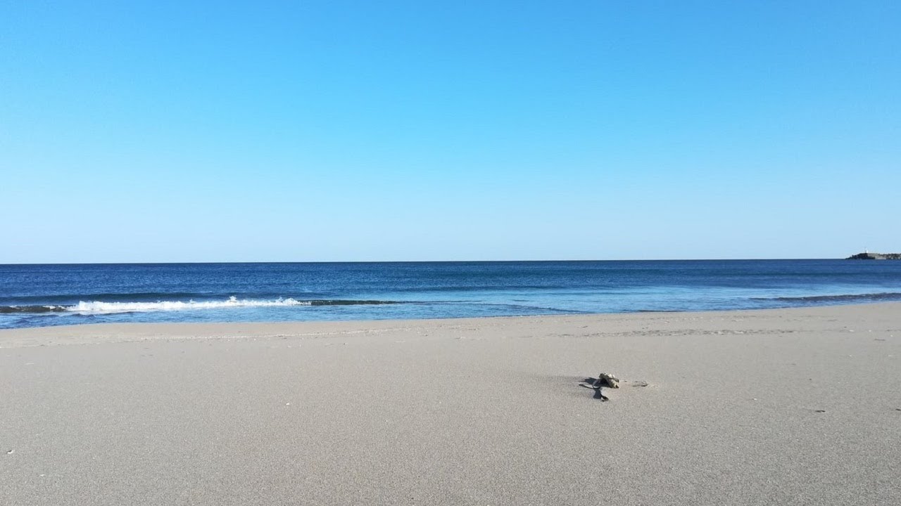 Kuroshio, Kochi, Japan (Kamo-shrine and Irino coast)