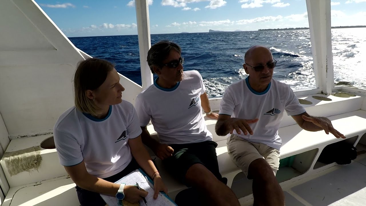 Whales of Mauritius Project