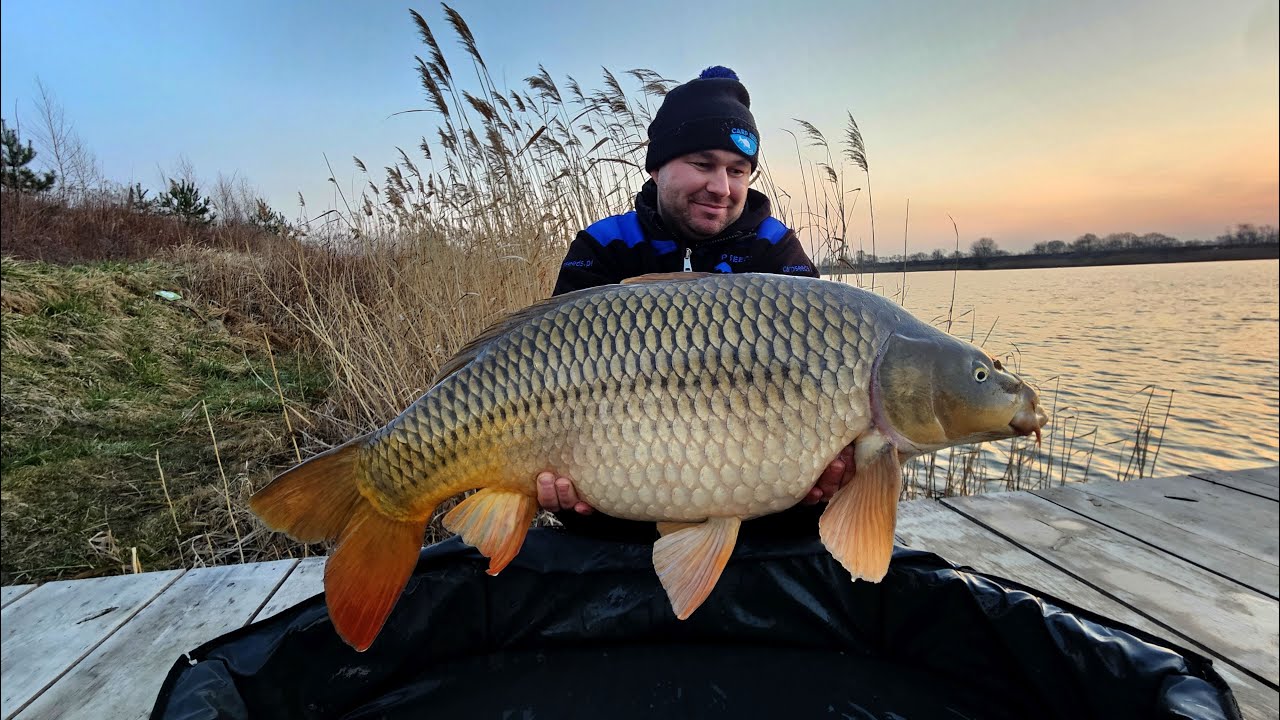 Jaka zanęta do PVA na wiosnę ? Karpie pełnołuskie z Extra Carp Radymno wiosna, marzec, karp, ziarna