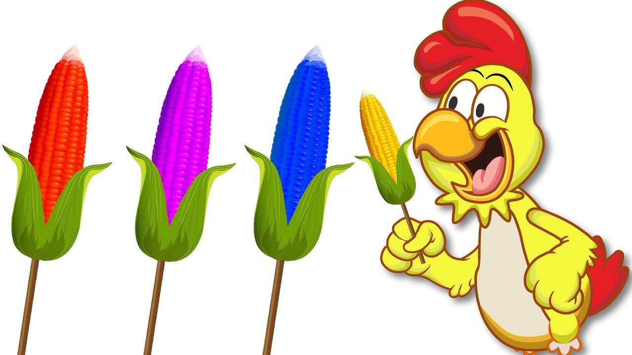 Pollo magro Comer dulces de ma&iacute;z de colores - Galinha amig&aacute;vel