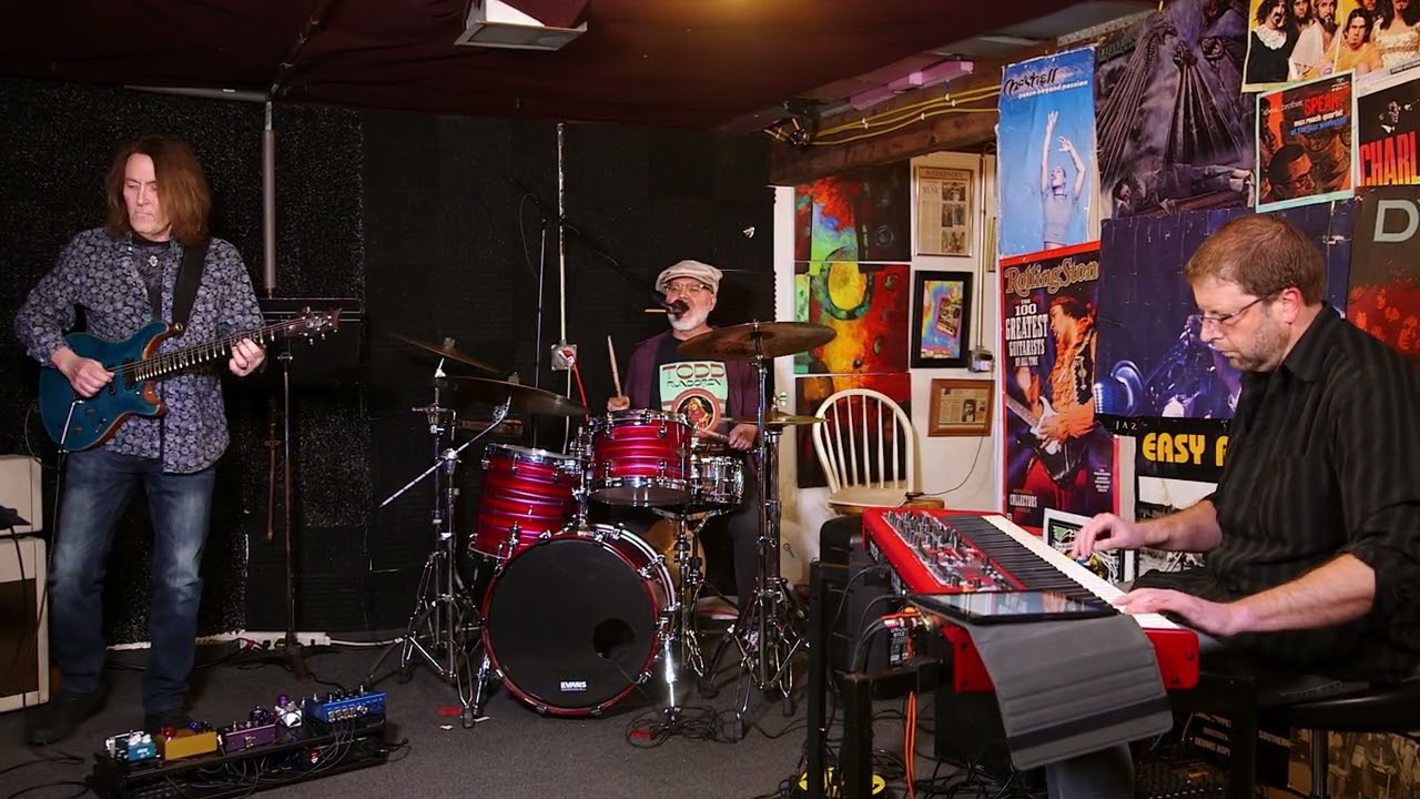 Green Flower Street (Donald Fagen cover) by Todd Harrold Band Blues Shuffle version