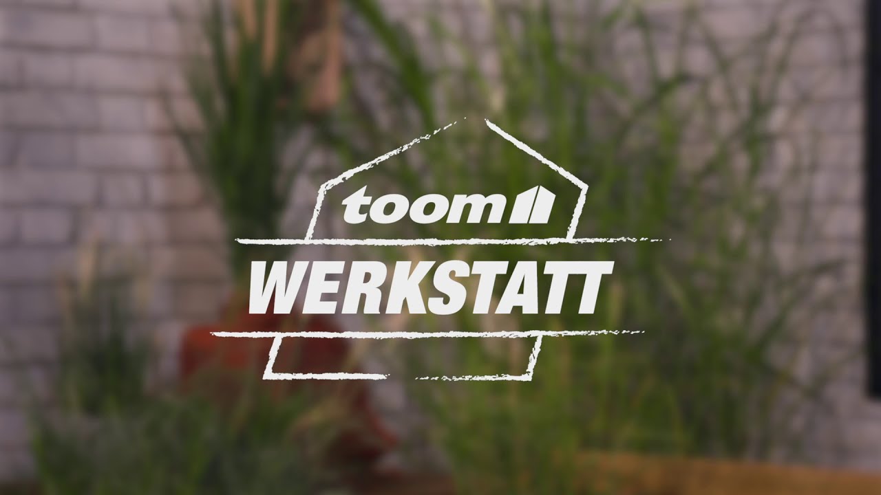 toom Pflanzentipps: Ziergräser | toom Baumarkt