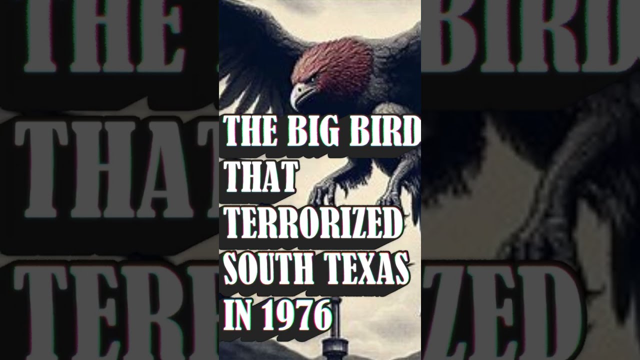The Big Bird Sightings of South Texas