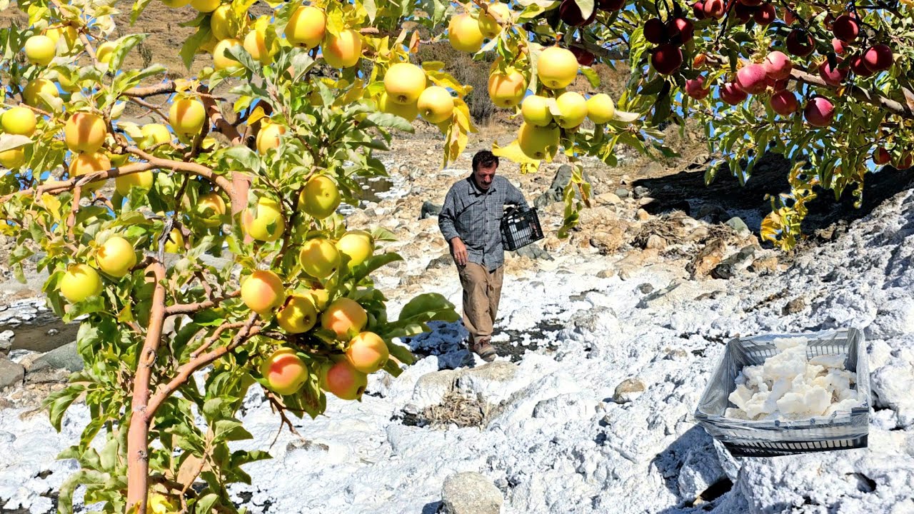 Nomadic Life!|Adventures of Nomadic Travel, the Secret of Salt Mountain, and Red Apples