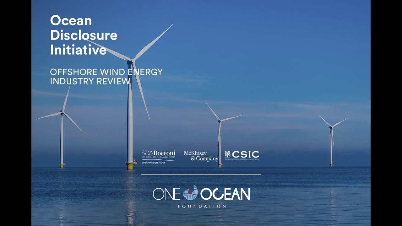 Offshore wind Energy Sector | Pressures on the ocean and possible solutions