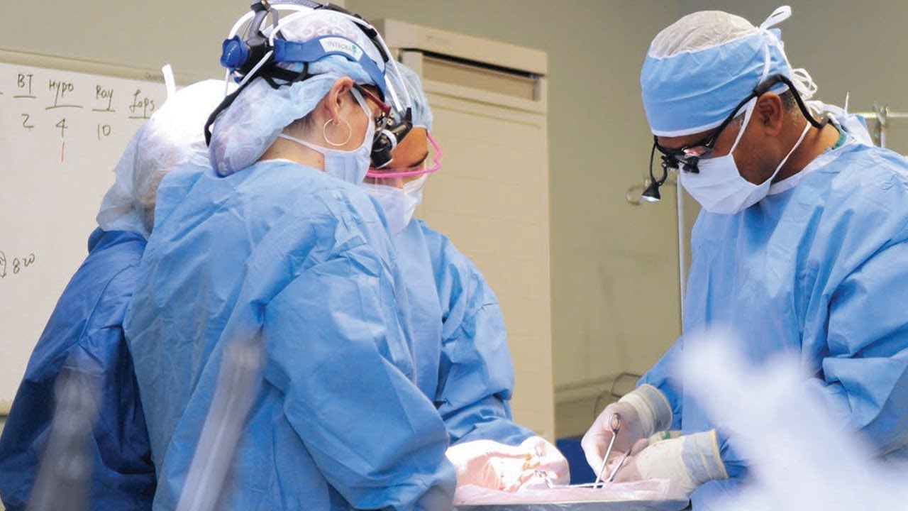 Webinar: Living Kidney Donation: Everything you Need to Know