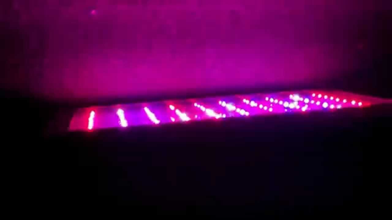 LED 300w Cultivo Indoor.